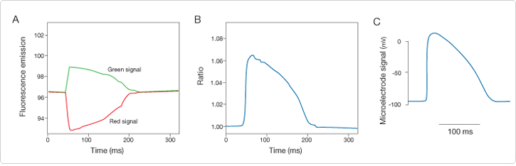 快速響應型探針（Fast response probes）